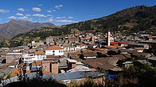 Huari 01228
