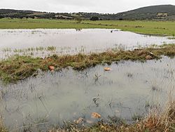 Archivo:Maar o cráter de explosión de Navarredonda, Piedrabuena, Ciudad Real. España. FZS.