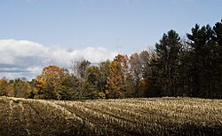 Maine fall 3 (3030347948).jpg