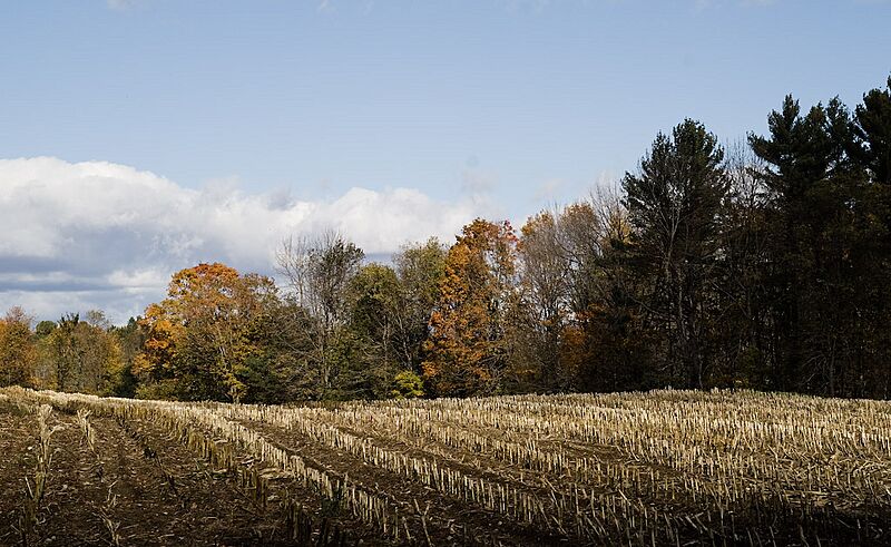 Maine fall 3 (3030347948)