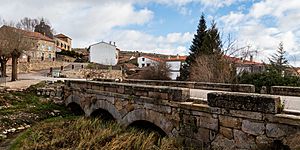 Archivo:Mazarete, Guadalajara, España, 2016-01-05, DD 31