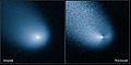 Comet Siding Spring ( Hubble ; 11 de marzo de 2014)
