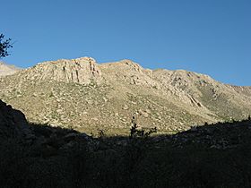 Orilla del rio Chicharra... - panoramio.jpg