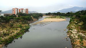 Archivo:Pamplonita en J.G. Durán