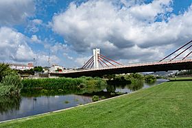 Parque fluvial del Besós.jpg