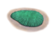 Persimedusites chahgazensis pennetta.png