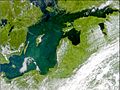 Phytoplankton bloom in the Baltic Sea (July 3, 2001)