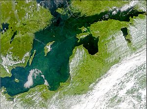 Archivo:Phytoplankton bloom in the Baltic Sea (July 3, 2001)