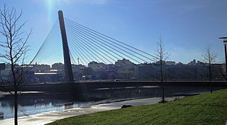 Puente de los Tirantes Pontevedra capital