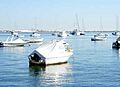 Puertosp3