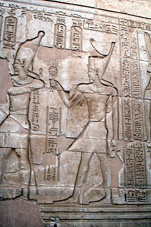 Archivo:SFEC EGYPT KOM-OMBO 2006-002