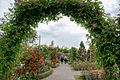 Sangerhausen Rosarium