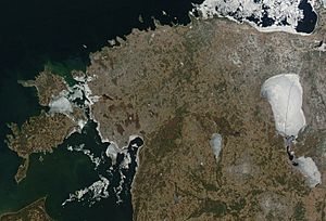 Archivo:Satellite image of Estonia in April 2004