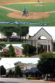 Springdale collage