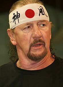 Terry Funk September 2013 (cropped).jpg