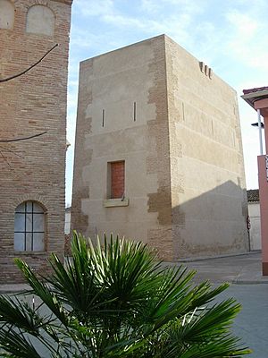 Archivo:Torre del Señorío de Salillas de Jalón