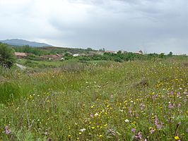 Vista de la localidad