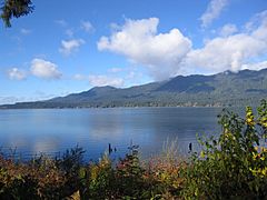 View of Lake Quinault