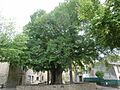 Villesèquelande13