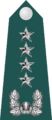 19.SKA-GEN