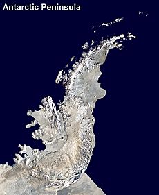 Archivo:Antarctic Peninsula satellite image