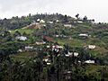 Barrio Gato, Orocovis, Puerto Rico