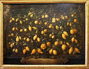Archivo:Bartolomeo bimbi, melagoli, cedri e limoni, 1715, 01