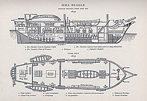 Archivo:Beagle - plan 1832