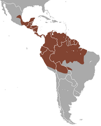Mapa de distribución de la Zarigüeya común