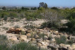 Archivo:CabezoLucero.necropolis