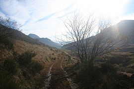 Camino Real del Puerto de la Mesa01