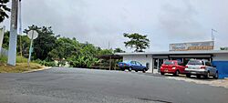 Carretera PR-733, Cidra, Puerto Rico.jpg