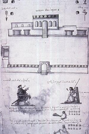 Archivo:Codex Osuna