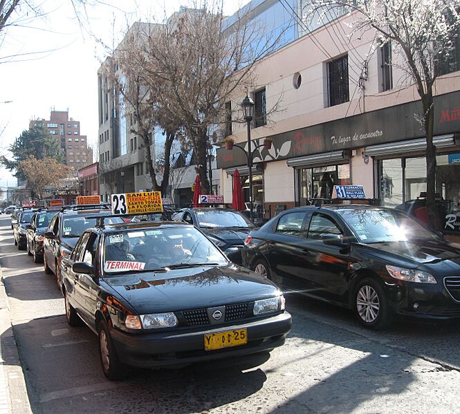 Colectivos18
