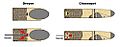 Compare Dreyse-Chassepot