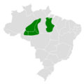 Conopophaga melanogaster map