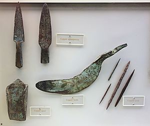 Archivo:Copper knife, spearpoints, awls, and spud, Late Archaic period, Wisconsin, 3000 BC-1000 BC - Wisconsin Historical Museum - DSC03436