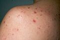 Diapositiva 2