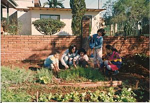 Archivo:Escuela Especial N°15 en Jardín América (1998)