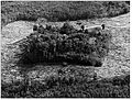 Fragmento de bosque aislado experimentalmente en el Amazonas central