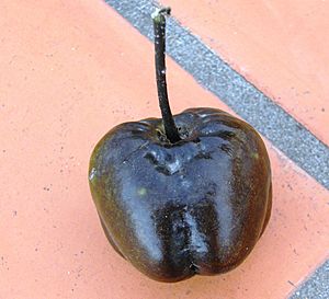 Archivo:Fruto maduro