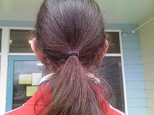 Archivo:Hair tie