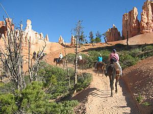Archivo:Horseriders in Bryce Canyon-NPS photo