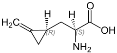 Archivo:Hypoglycin Structural Formula V.1