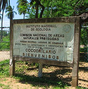 Archivo:Instituto Nacional de Ecologia Chacahua