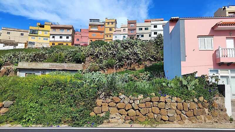 Las Canteras 8
