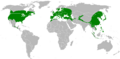 Map genus Acer