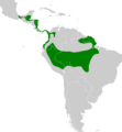Microrhopias quixensis map