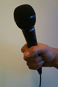 Archivo:Mikrofon i neve