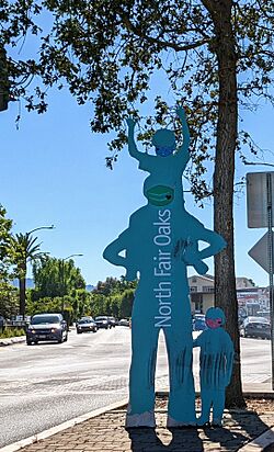 North Fair Oaks metal entry sign.jpg